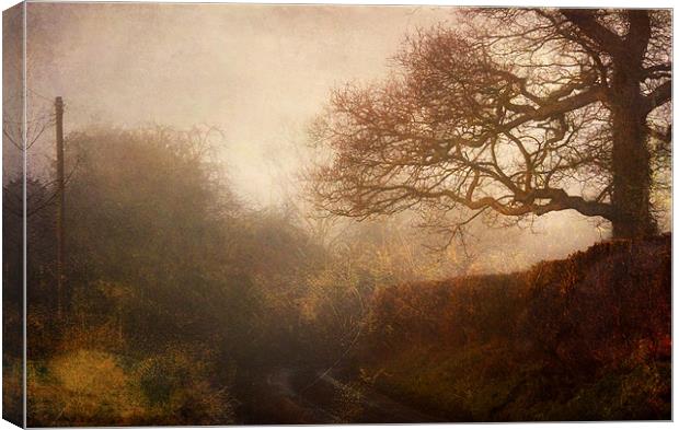 Beautiful country lane Canvas Print by Dawn Cox