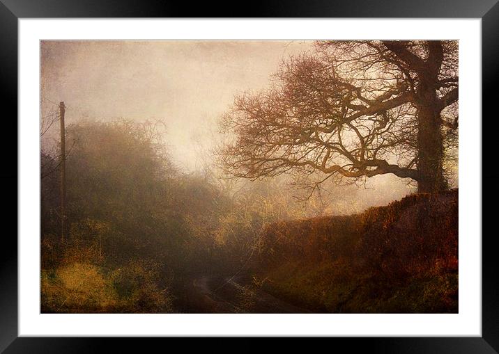Beautiful country lane Framed Mounted Print by Dawn Cox