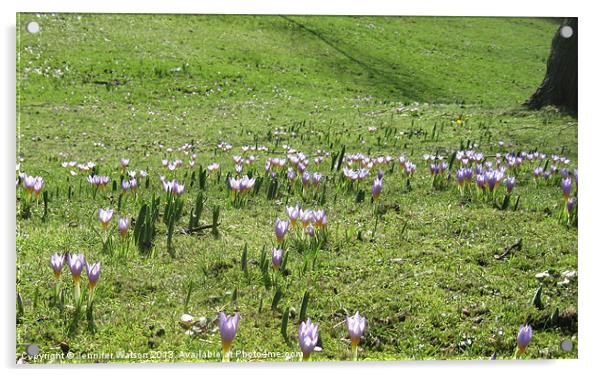 Crocus Carpet Acrylic by Jennifer Henderson