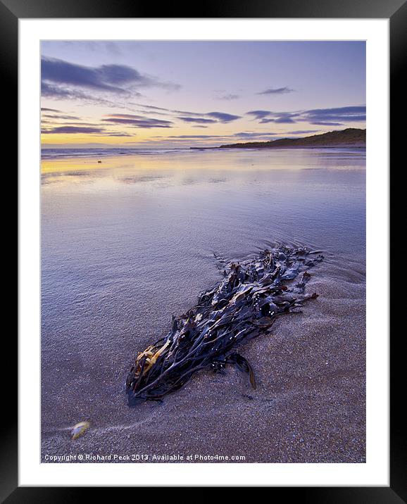Seaweed Dawn Framed Mounted Print by Richard Peck