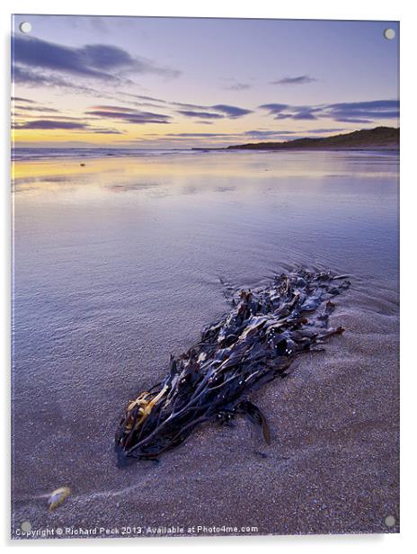 Seaweed Dawn Acrylic by Richard Peck