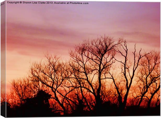 Crimson treetops Canvas Print by Sharon Lisa Clarke