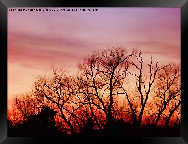 Crimson treetops Framed Print by Sharon Lisa Clarke
