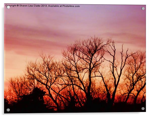 Crimson treetops Acrylic by Sharon Lisa Clarke