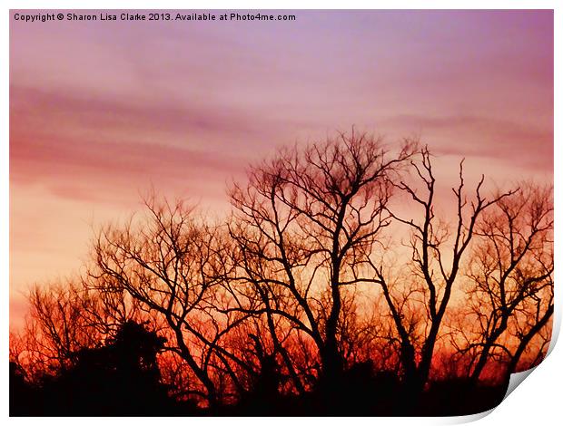 Crimson treetops Print by Sharon Lisa Clarke