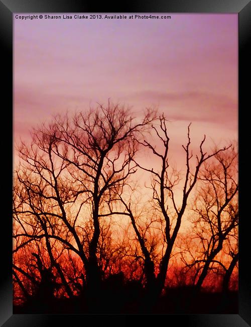 Crimson treetops 2 Framed Print by Sharon Lisa Clarke