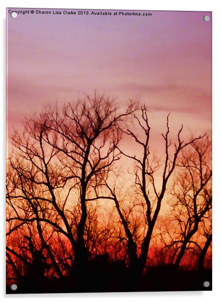Crimson treetops 2 Acrylic by Sharon Lisa Clarke