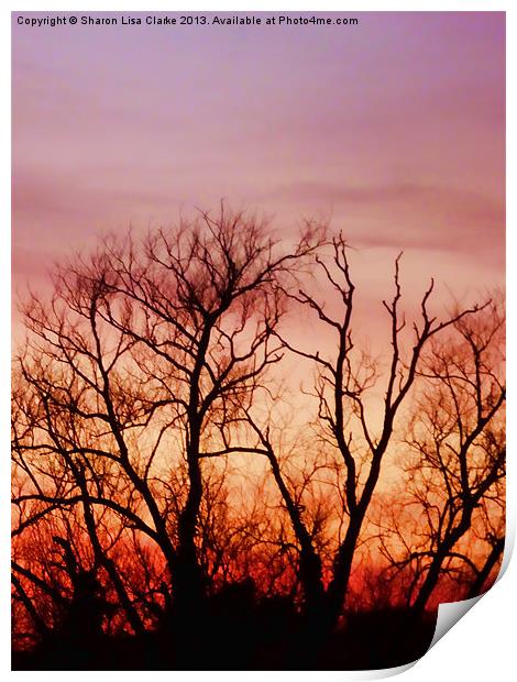 Crimson treetops 2 Print by Sharon Lisa Clarke