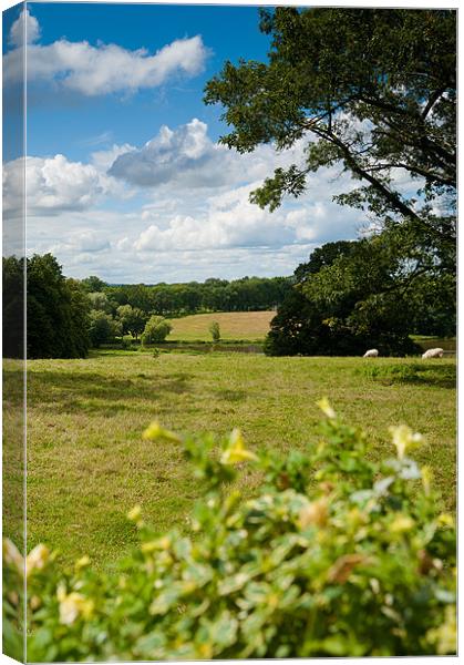 English Country Landscape Canvas Print by Mark Llewellyn
