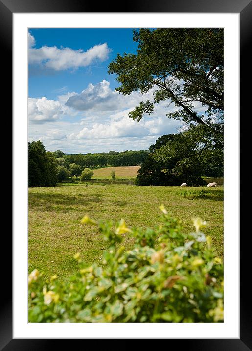English Country Landscape Framed Mounted Print by Mark Llewellyn
