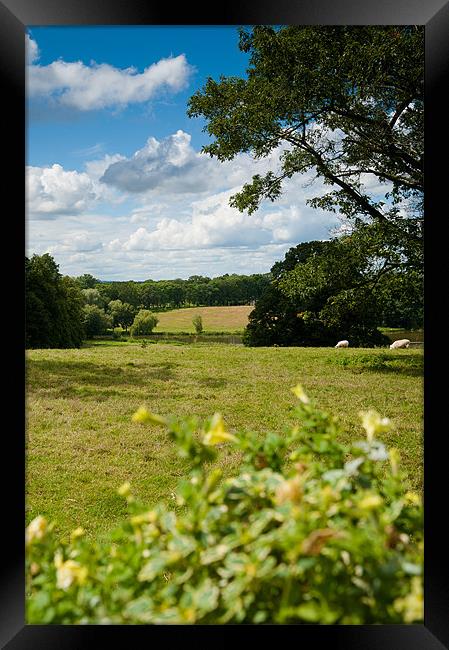 English Country Landscape Framed Print by Mark Llewellyn