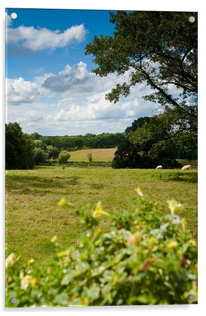English Country Landscape Acrylic by Mark Llewellyn