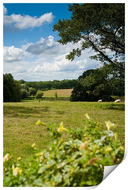 English Country Landscape Print by Mark Llewellyn