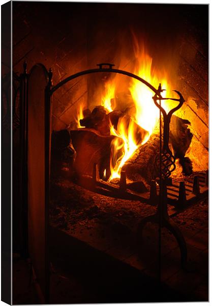 Open Fire Canvas Print by Mark Llewellyn