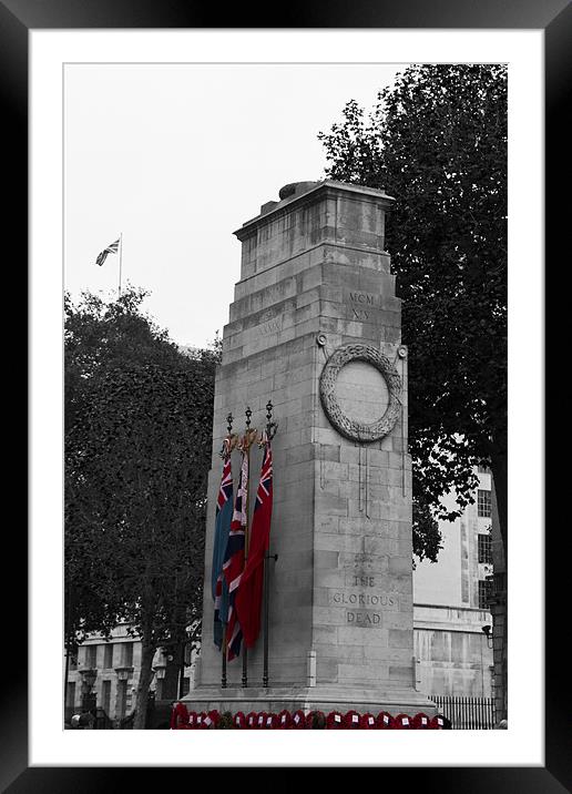 Cenotaph Poppy Day Framed Mounted Print by David French