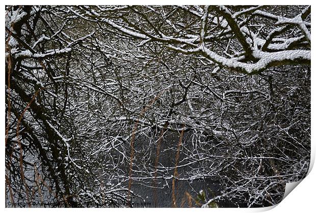 Snowy branches Print by Ade Robbins