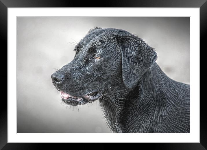 Maggie Framed Mounted Print by Vicky Mitchell