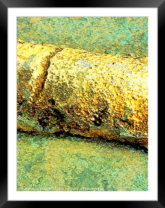 Golden Teal Framed Mounted Print by Laura McGlinn Photog