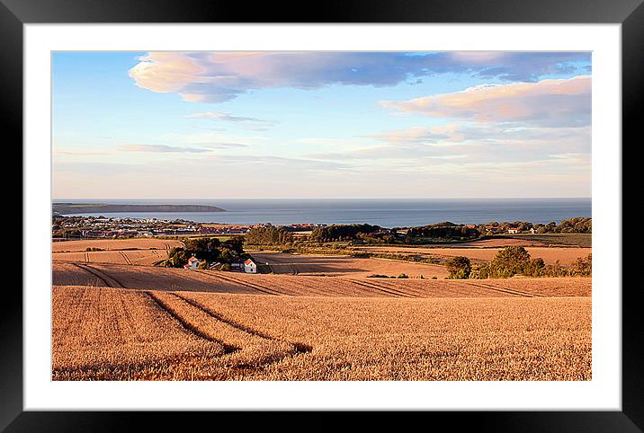 Overlooking Filey Framed Mounted Print by David Hollingworth