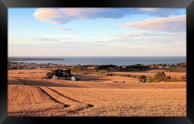 Overlooking Filey Framed Print by David Hollingworth