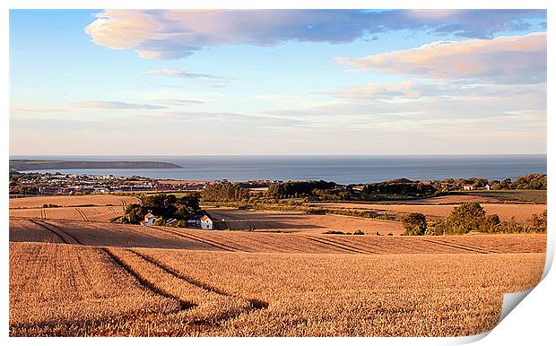 Overlooking Filey Print by David Hollingworth