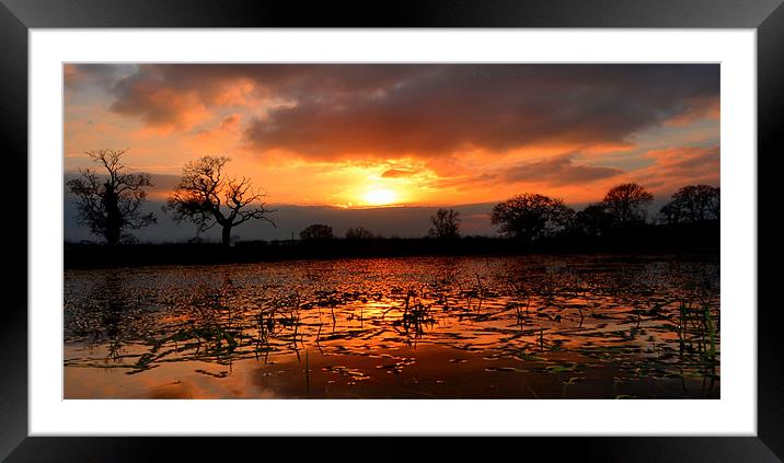 Orange Sunset Reflection Framed Mounted Print by Shaun Cope