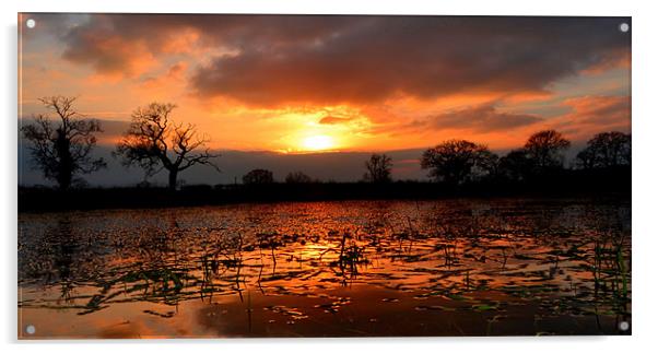 Orange Sunset Reflection Acrylic by Shaun Cope