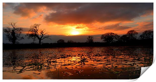 Orange Sunset Reflection Print by Shaun Cope