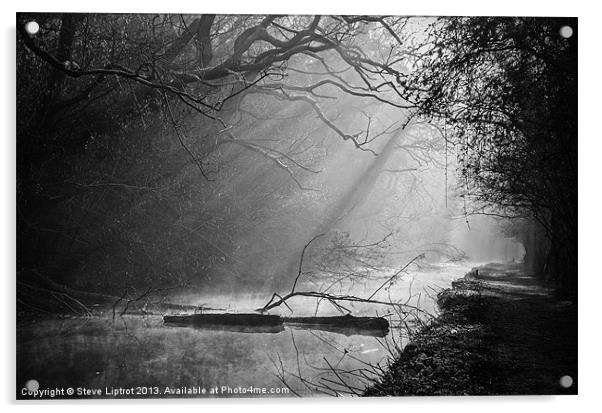 Glamorganshire Canal Acrylic by Steve Liptrot