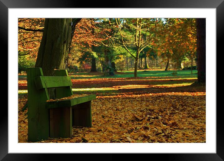 The Lonesome bench Framed Mounted Print by Mark Lee