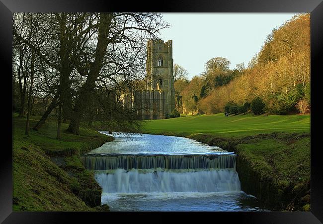 Fountains Abbey North Yorkshire Framed Print by Mark Lee