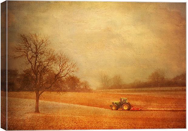 Working the Fields Canvas Print by Dawn Cox
