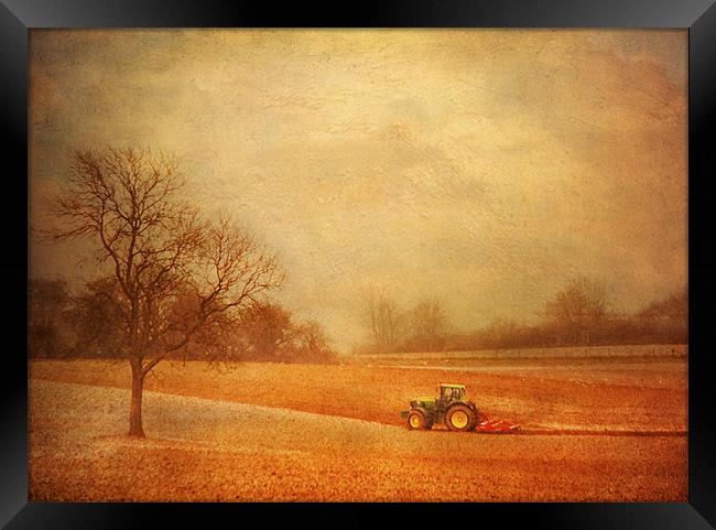 Working the Fields Framed Print by Dawn Cox
