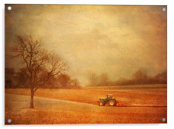 Working the Fields Acrylic by Dawn Cox