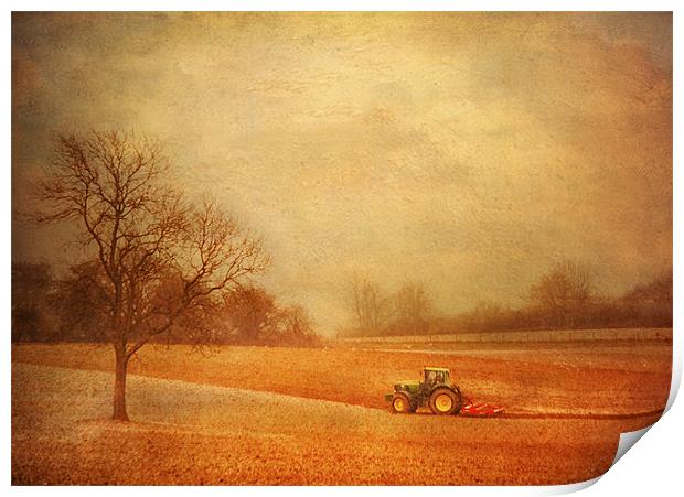 Working the Fields Print by Dawn Cox