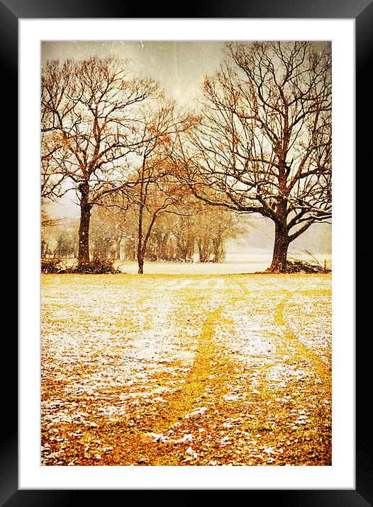 Light snow flurries across the field Framed Mounted Print by Dawn Cox