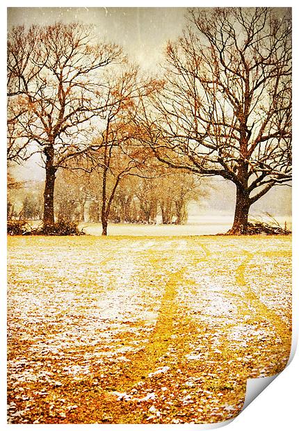 Light snow flurries across the field Print by Dawn Cox