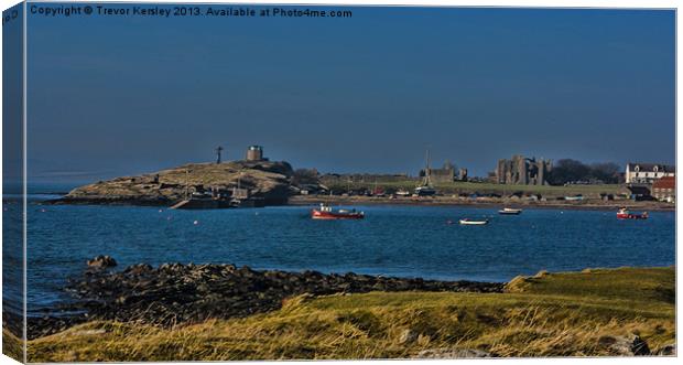 Holy Island Harbour Canvas Print by Trevor Kersley RIP