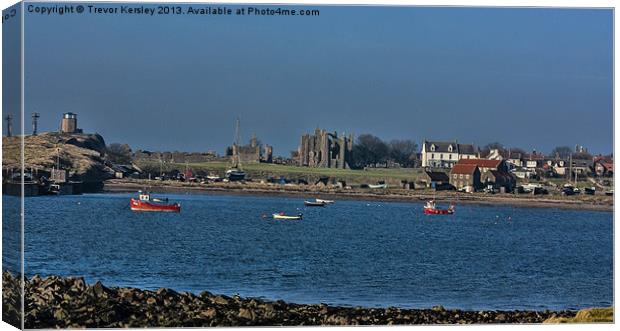 Holy Island Harbour Canvas Print by Trevor Kersley RIP