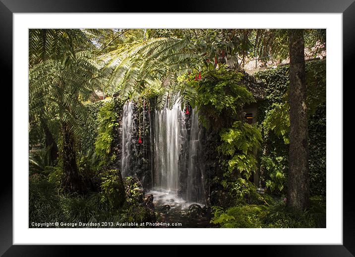 Madeiran Falls Framed Mounted Print by George Davidson