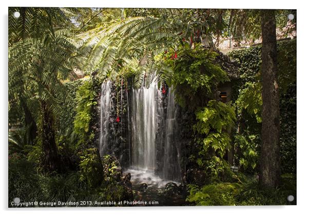 Madeiran Falls Acrylic by George Davidson