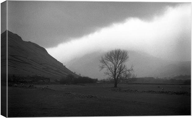 Bare Tree at Wastwater Head Canvas Print by Brian Sharland