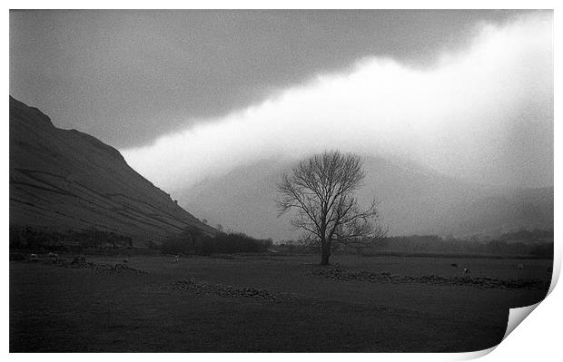 Bare Tree at Wastwater Head Print by Brian Sharland