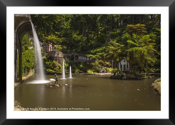 Madeira  Botanical Gardens Framed Mounted Print by George Davidson