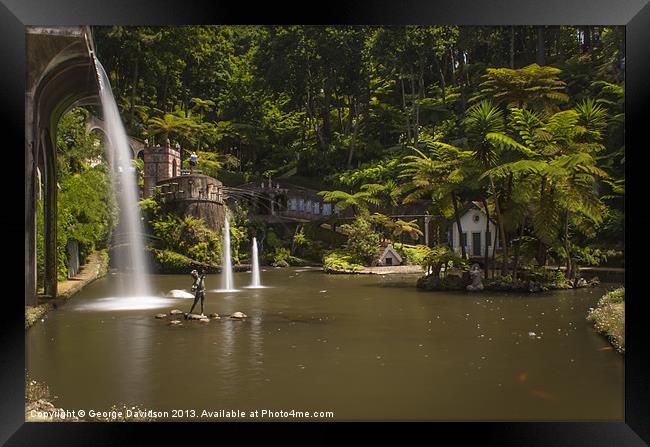 Madeira  Botanical Gardens Framed Print by George Davidson