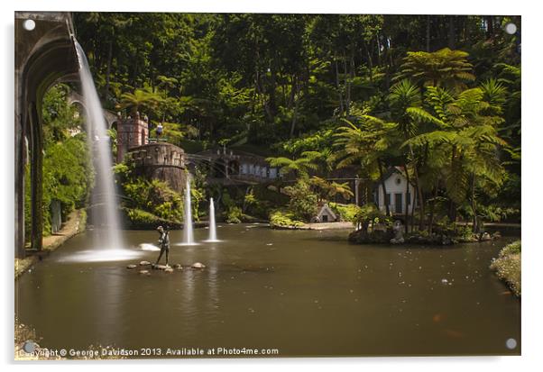 Madeira  Botanical Gardens Acrylic by George Davidson