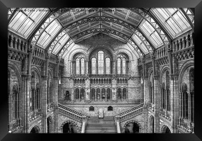 Natural History Museum - London Framed Print by Colin Williams Photography