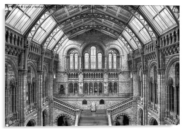 Natural History Museum - London Acrylic by Colin Williams Photography