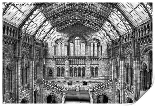 Natural History Museum - London Print by Colin Williams Photography
