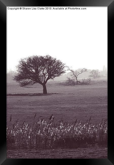 Stand Alone Framed Print by Sharon Lisa Clarke